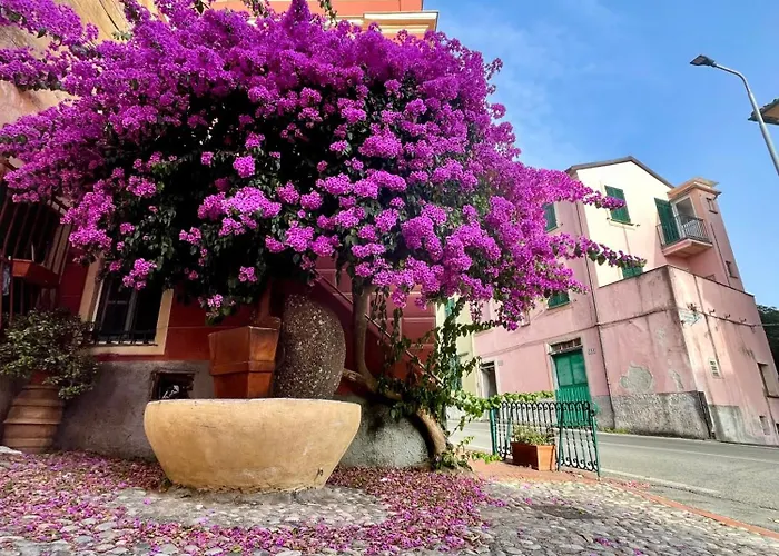 La Monstera Sestri Levante