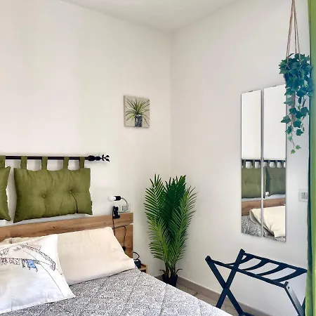 La Monstera Guest house