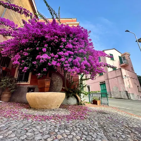 La Monstera Sestri Levante
